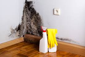 Best Mold Removal for HVAC Installations  in Mount Zion, GA